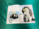 新小小牛頓點讀版 高幼版( 36本主題月刊+36本遊戲簿+36張QRCODE 影片+36張QRCODE)(免運)
