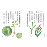 故事摩天輪第二輯(共10冊) - Gloria's Bookstore 美國中文繪本童書專賣