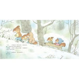 森林裡的小松鼠:岩村和朗經典四季繪本(全套六冊) (免運)