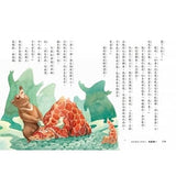 超馬童話大冒險5-8集套書:全馬毅力加油版(共四冊)比大小/你是誰/我愛你/說再見