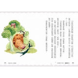 超馬童話大冒險5-8集套書:全馬毅力加油版(共四冊)比大小/你是誰/我愛你/說再見