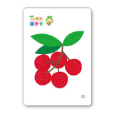 健康蔬果識字卡