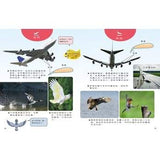 【出清】新小牛頓 NEWTON KIDS雜誌 (零散單本)