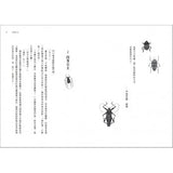 甲蟲男孩系列（共三書）甲蟲男孩 /女王再臨/最終決戰