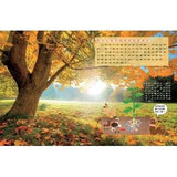 (絕版品)【新小牛頓 NEWTON KIDS雜誌】2020年8月號~2021年5月號（共10本）