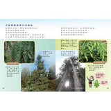 (絕版品)【新小牛頓 NEWTON KIDS雜誌】2020年8月號~2021年5月號（共10本）