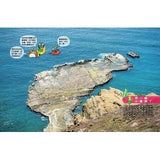 (絕版品)【新小牛頓 NEWTON KIDS雜誌】2020年8月號~2021年5月號（共10本）