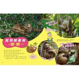 (絕版品)【新小牛頓 NEWTON KIDS雜誌】2019年10月號~2020年7月號（共10本）