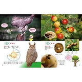 (絕版品)【新小牛頓 NEWTON KIDS雜誌】2019年10月號~2020年7月號（共10本）