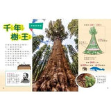 (絕版品)【新小牛頓 NEWTON KIDS雜誌】2019年10月號~2020年7月號（共10本）