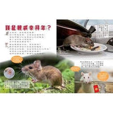 (絕版品)【新小牛頓 NEWTON KIDS雜誌】2019年10月號~2020年7月號（共10本）