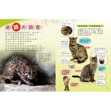 (絕版品)【新小牛頓 NEWTON KIDS雜誌】2019年10月號~2020年7月號（共10本）