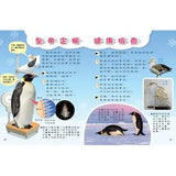 (絕版品)【新小牛頓 NEWTON KIDS雜誌】2019年10月號~2020年7月號（共10本）