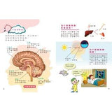 (絕版品)【新小牛頓 NEWTON KIDS雜誌】2019年10月號~2020年7月號（共10本）