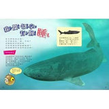 (絕版品)【新小牛頓 NEWTON KIDS雜誌】2019年10月號~2020年7月號（共10本）