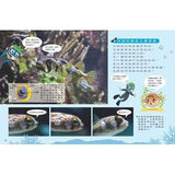 (絕版品)【新小牛頓 NEWTON KIDS雜誌】2019年10月號~2020年7月號（共10本）