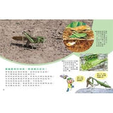 (絕版品)【新小牛頓 NEWTON KIDS雜誌】2019年10月號~2020年7月號（共10本）