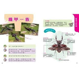 (絕版品)【新小牛頓 NEWTON KIDS雜誌】2019年10月號~2020年7月號（共10本）