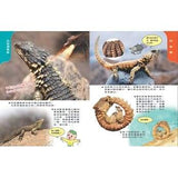 (絕版品)【新小牛頓 NEWTON KIDS雜誌】2019年10月號~2020年7月號（共10本）