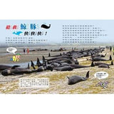 (絕版品)【新小牛頓 NEWTON KIDS雜誌】2019年10月號~2020年7月號（共10本）