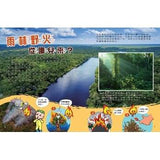 (絕版品)【新小牛頓 NEWTON KIDS雜誌】2020年8月號~2021年5月號（共10本）