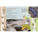 (絕版品)【新小牛頓 NEWTON KIDS雜誌】2019年10月號~2020年7月號（共10本）