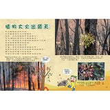 (絕版品)【新小牛頓 NEWTON KIDS雜誌】2020年8月號~2021年5月號（共10本）