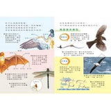 (絕版品)【新小牛頓 NEWTON KIDS雜誌】2020年8月號~2021年5月號（共10本）