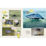 (絕版品)【新小牛頓 NEWTON KIDS雜誌】2020年8月號~2021年5月號（共10本）