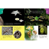 (絕版品)【新小牛頓 NEWTON KIDS雜誌】2020年8月號~2021年5月號（共10本）