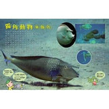 (絕版品)【新小牛頓 NEWTON KIDS雜誌】2020年8月號~2021年5月號（共10本）