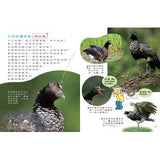 (絕版品)【新小牛頓 NEWTON KIDS雜誌】2020年8月號~2021年5月號（共10本）