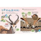 (絕版品)【新小牛頓 NEWTON KIDS雜誌】2020年8月號~2021年5月號（共10本）