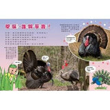 (絕版品)【新小牛頓 NEWTON KIDS雜誌】2020年8月號~2021年5月號（共10本）