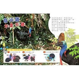 (絕版品)【新小牛頓 NEWTON KIDS雜誌】2020年8月號~2021年5月號（共10本）