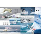 (絕版品)【新小牛頓 NEWTON KIDS雜誌】2020年8月號~2021年5月號（共10本）