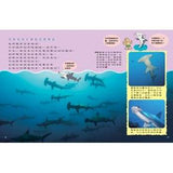 (絕版品)【新小牛頓 NEWTON KIDS雜誌】2020年8月號~2021年5月號（共10本）