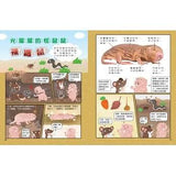 (絕版品)【新小牛頓 NEWTON KIDS雜誌】2020年8月號~2021年5月號（共10本）