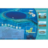 (絕版品)【新小牛頓 NEWTON KIDS雜誌】2020年8月號~2021年5月號（共10本）