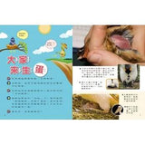 (絕版品)【新小牛頓 NEWTON KIDS雜誌】2020年8月號~2021年5月號（共10本）