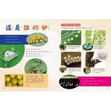 (絕版品)【新小牛頓 NEWTON KIDS雜誌】2020年8月號~2021年5月號（共10本）